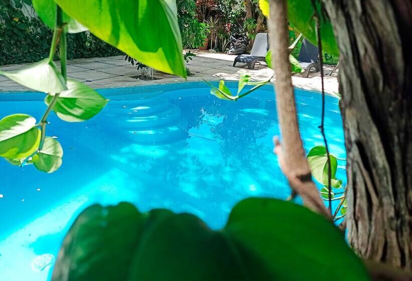 Nativ Tulum Hotel Boutique