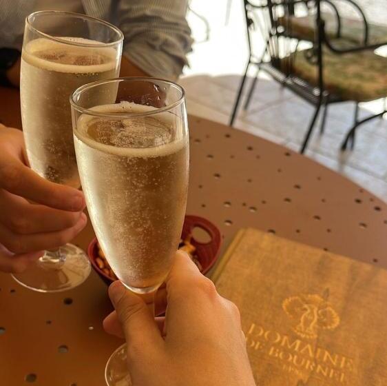 호텔 Château De Bournel