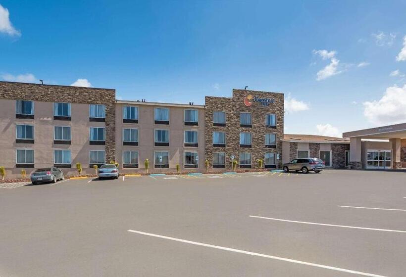בית מלון כפרי Comfort Inn Tonopah