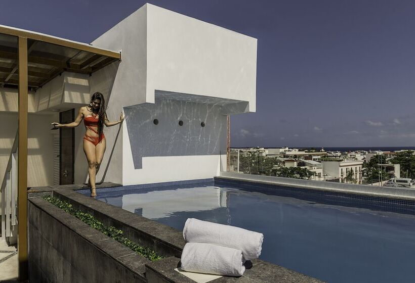 Attraction Hotel Deluxe