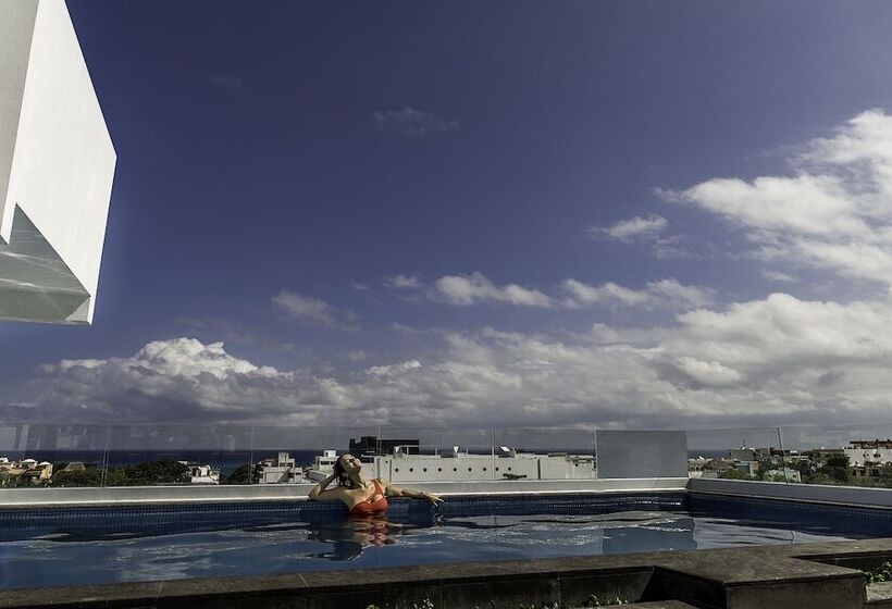 Attraction Hotel Deluxe