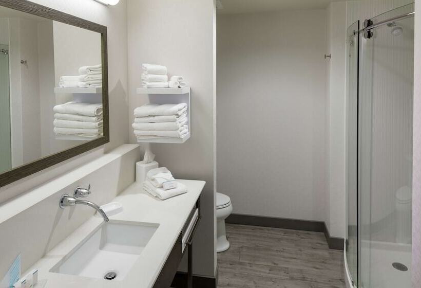 酒店 Hampton Inn & Suites Asheville Biltmore Area