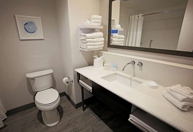 酒店 Hampton Inn & Suites Asheville Biltmore Area