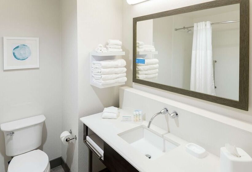 酒店 Hampton Inn & Suites Asheville Biltmore Area