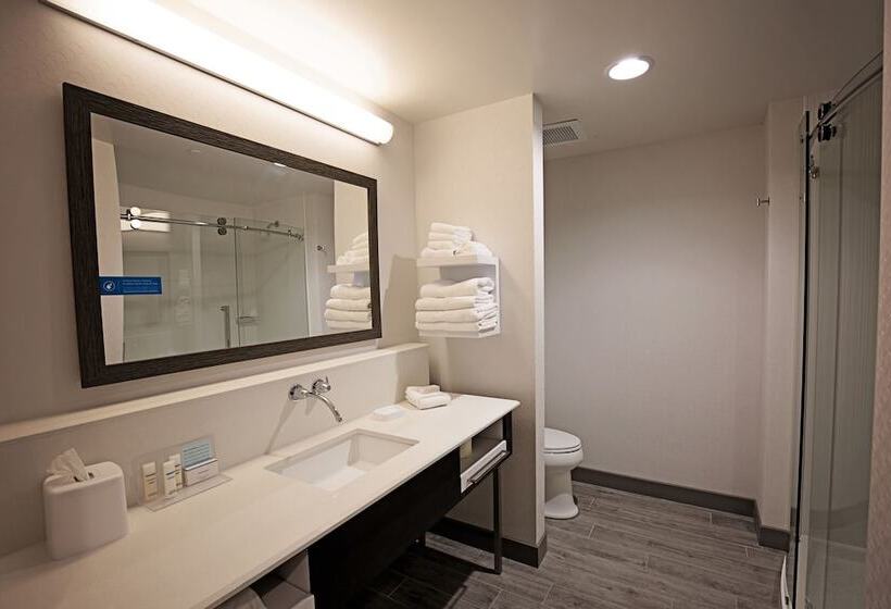 酒店 Hampton Inn & Suites Asheville Biltmore Area