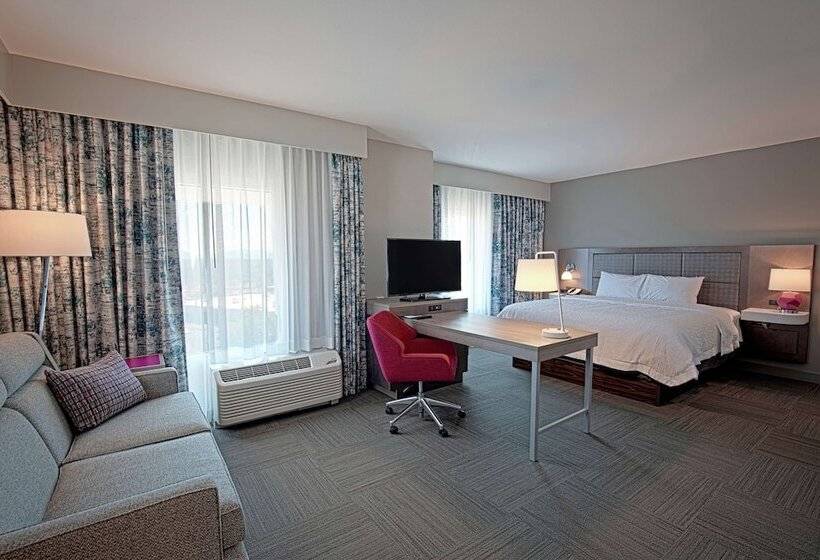 酒店 Hampton Inn & Suites Asheville Biltmore Area