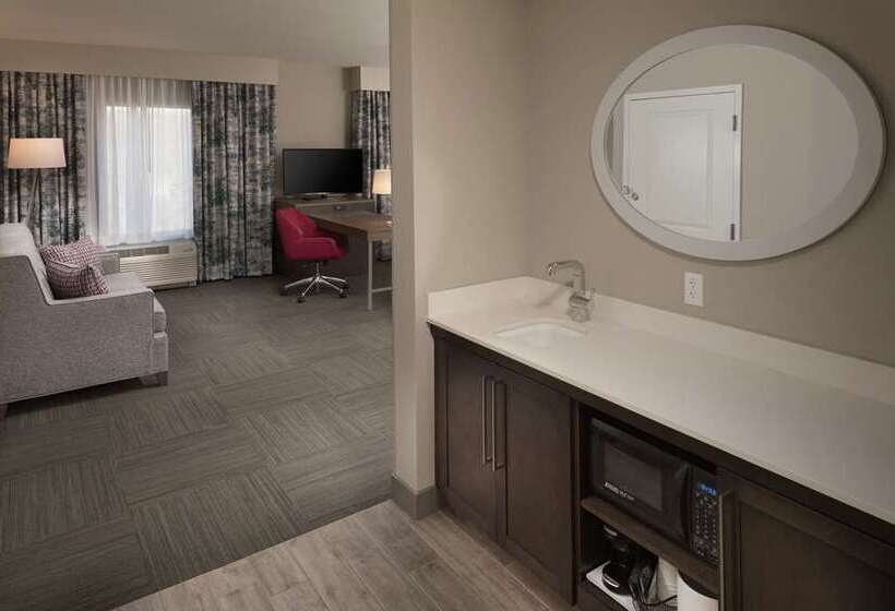 酒店 Hampton Inn & Suites Asheville Biltmore Area