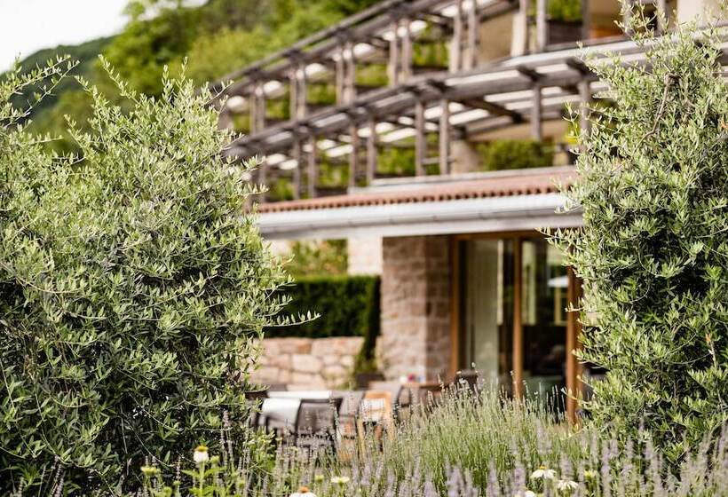 בית מלון כפרי Hasslhof