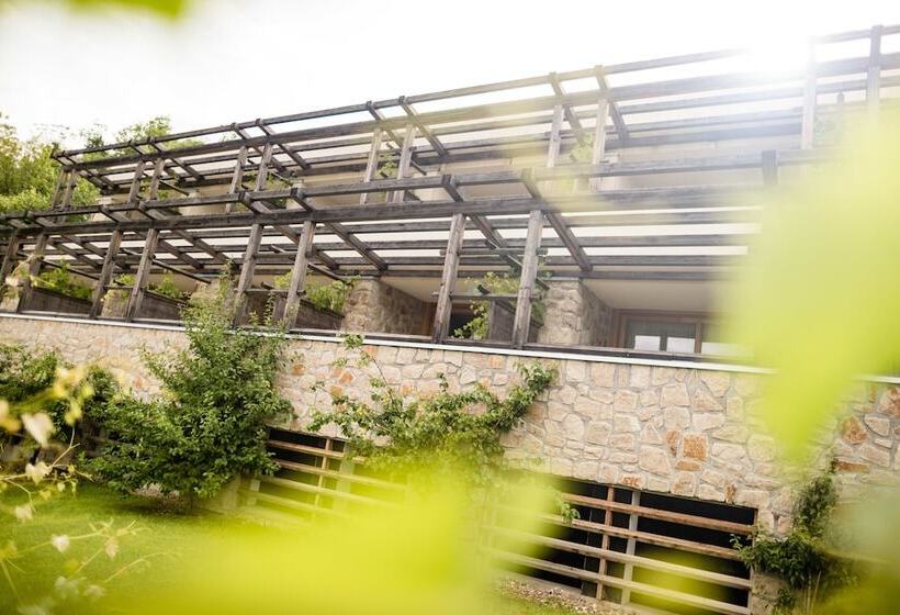 בית מלון כפרי Hasslhof