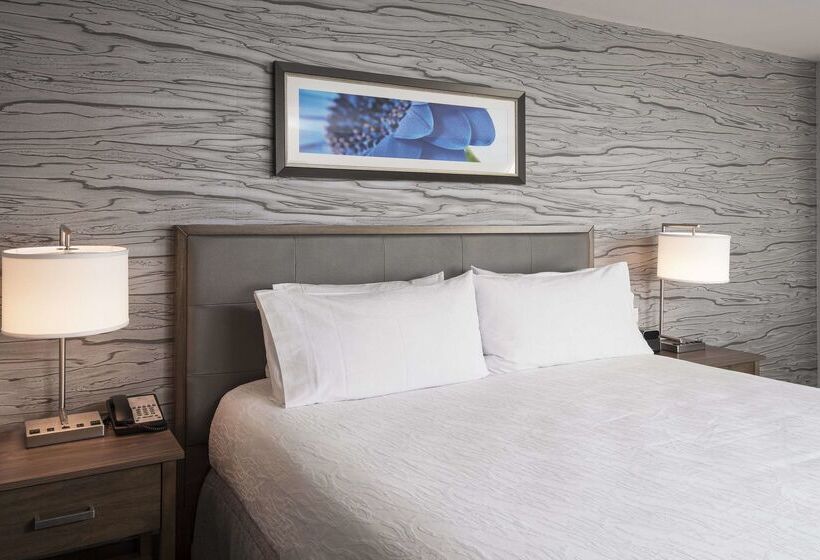 酒店 Homewood Suites By Hilton Ottawa Downtown