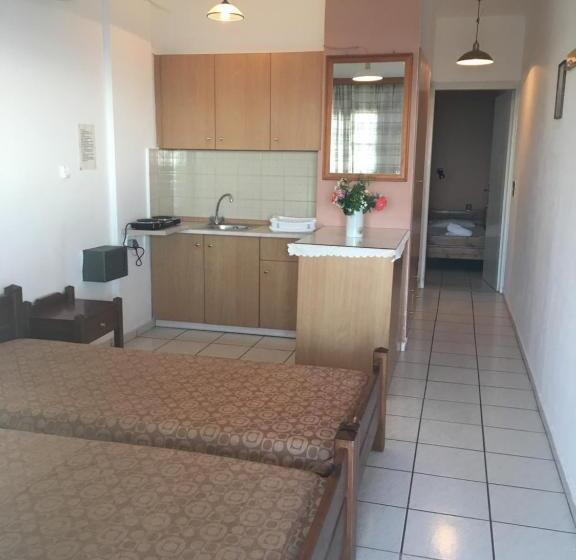 בית מלון כפרי Litsa Efi