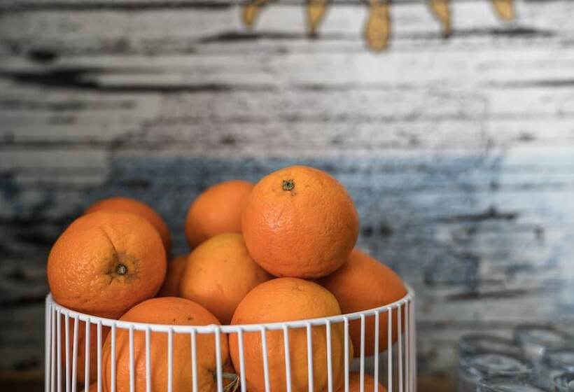 호텔 Lorient Residence