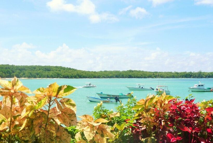 Hotel Miller's Guest House