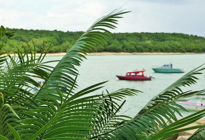 Hotel Miller's Guest House