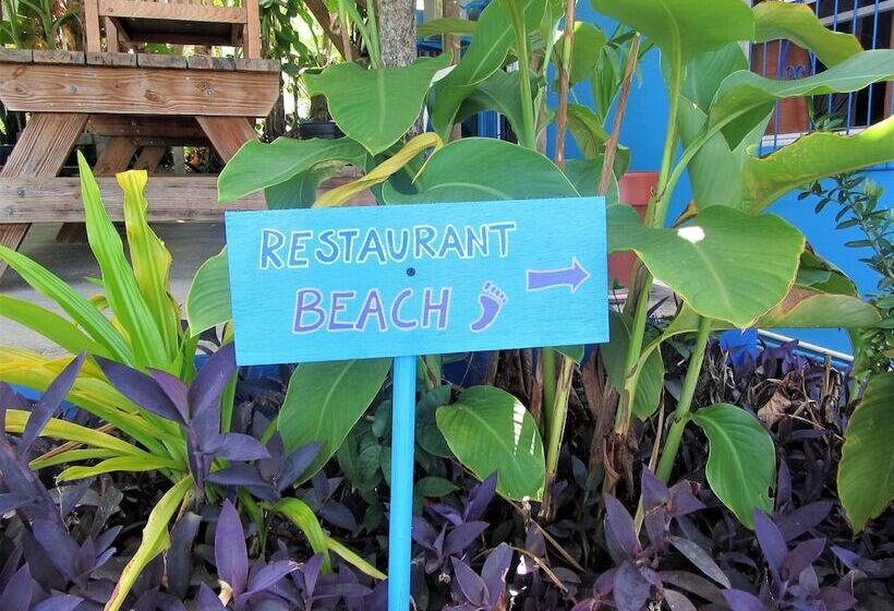 Hotel Miller's Guest House