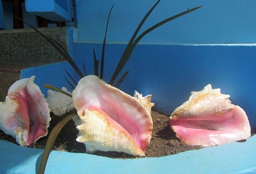 Hotel Miller's Guest House