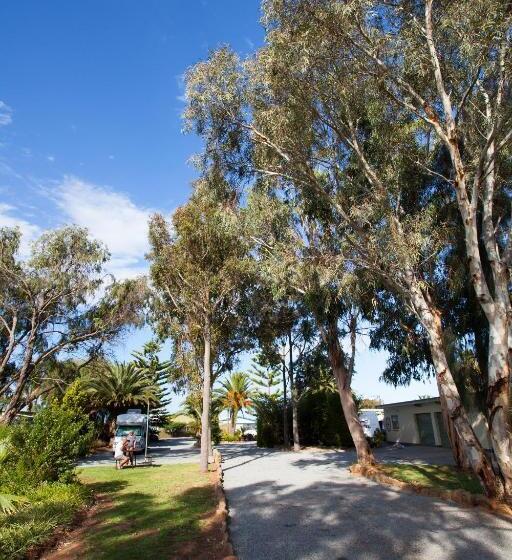 هتل Modra's Apartments