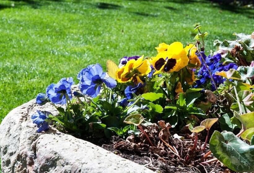 فندق Moli De L Escala