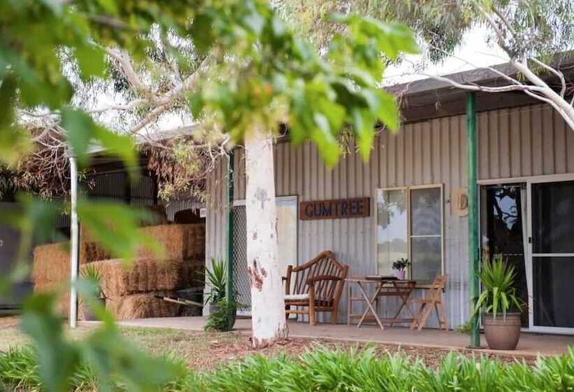 בית מלון כפרי Peppertree Farm