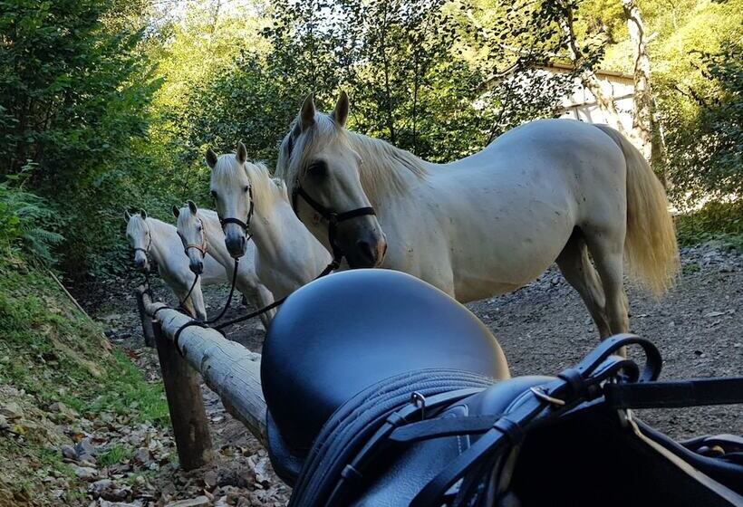 فندق Rural Las Montañas De Pumar