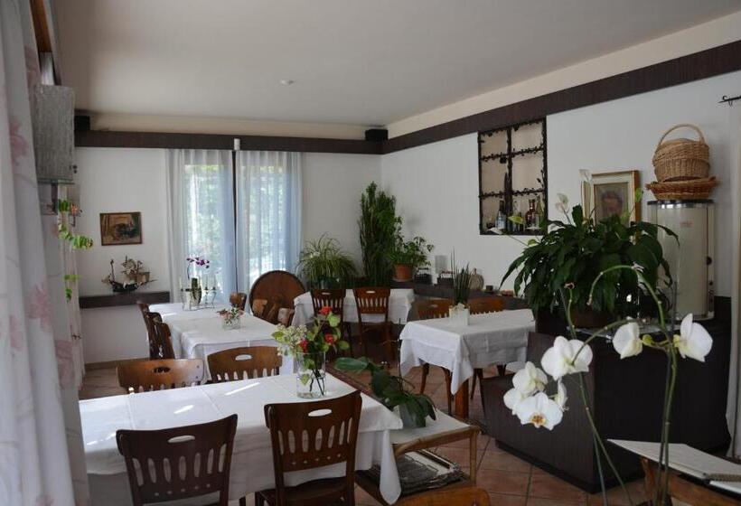 Отель Villa Selva