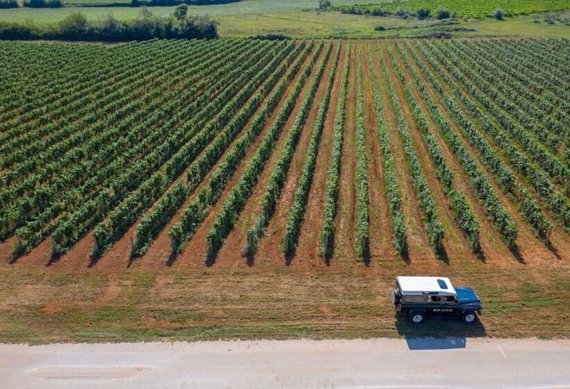 Winery & Design Hotel Roxanich