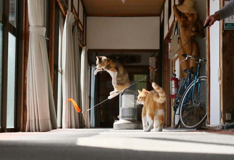 Rjokan 民宿たきた館 Guest House Takita Kan