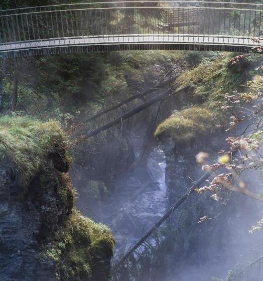 Soldanella By Hotel Adula