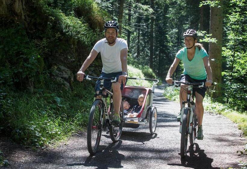 Soldanella By Hotel Adula