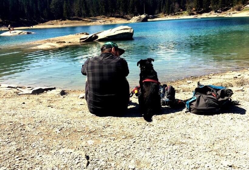 Soldanella By Hotel Adula