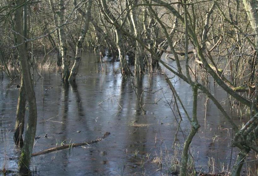 Budget Hotel Vrouwenpolder