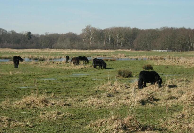 Budget Hotel Vrouwenpolder