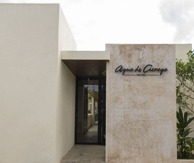 ホテル Agua De Ciénega