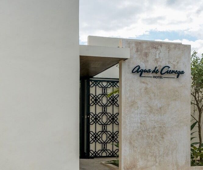ホテル Agua De Ciénega