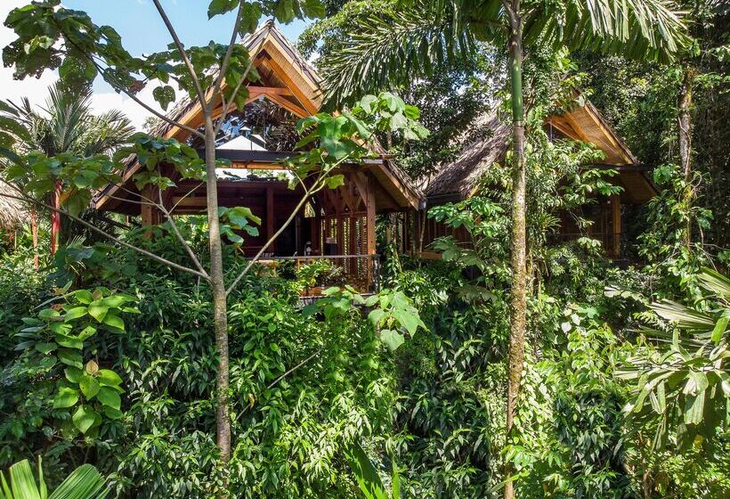 فندق Amor Arenal Adults Friendly