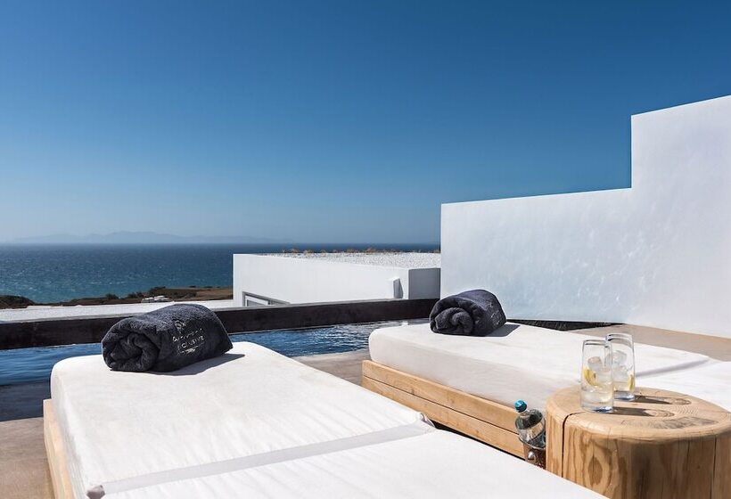 هتل Andronis Arcadia