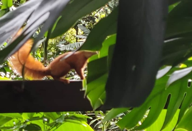 Café Hotel Medellín