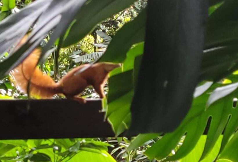 Café Hotel Medellín