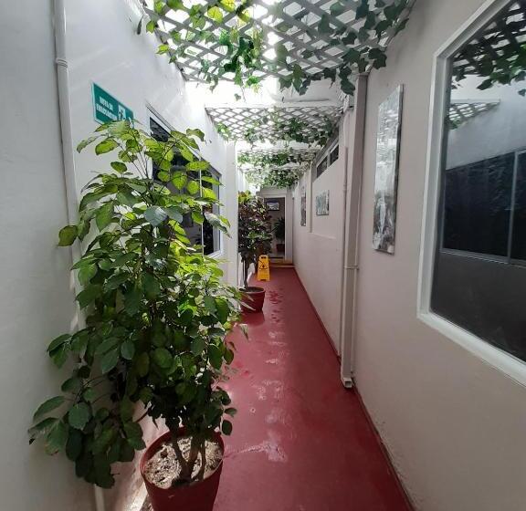 호텔 Casa Boston Inn