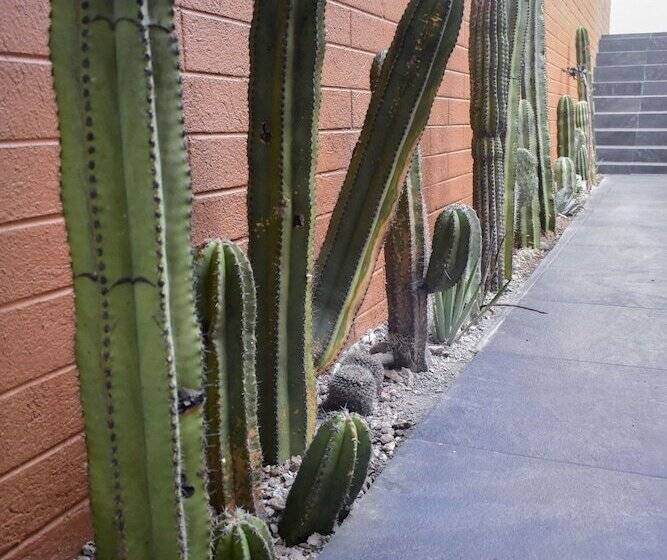 هتل Casa Santo Tomas