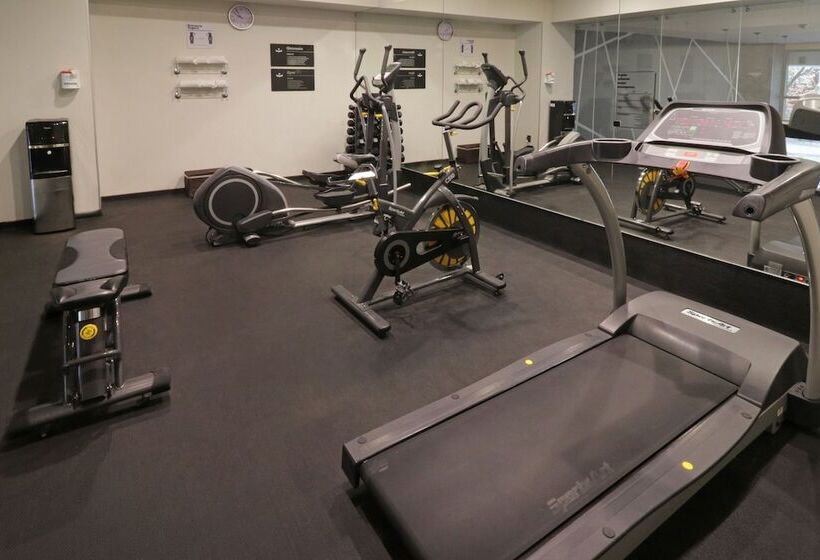 Отель City Express Plus By Marriott Tampico