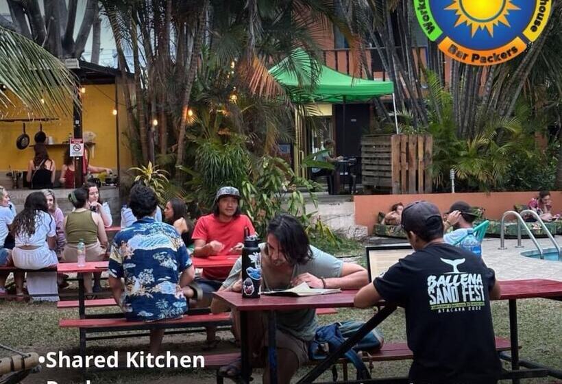 호텔 Costa Rica Backpackers