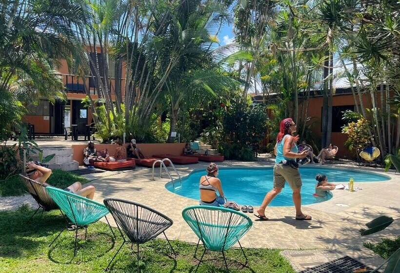 호텔 Costa Rica Backpackers