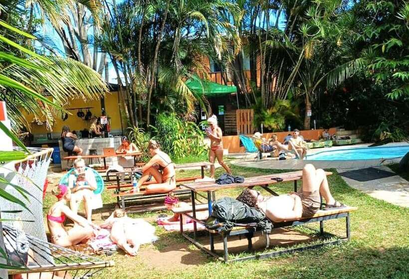 호텔 Costa Rica Backpackers