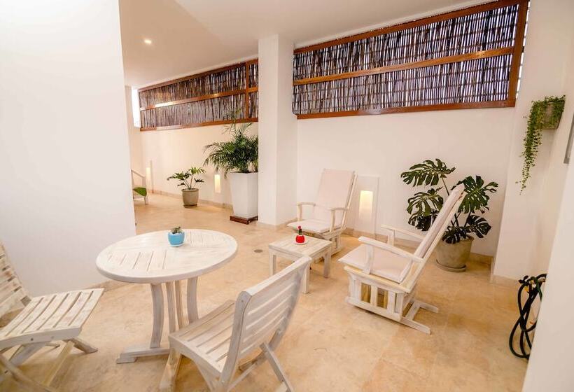 Отель El Cactus Luxury Apartments In Historic Center