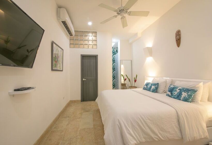 Отель El Cactus Luxury Apartments In Historic Center