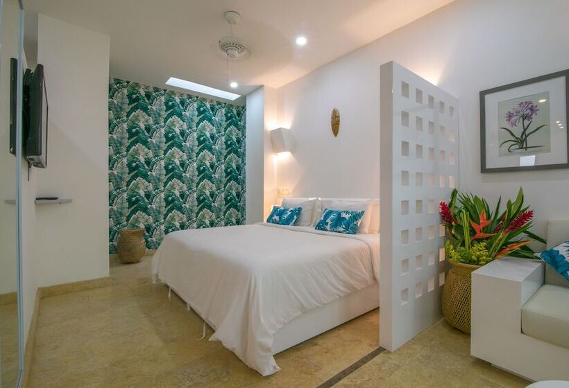 Отель El Cactus Luxury Apartments In Historic Center