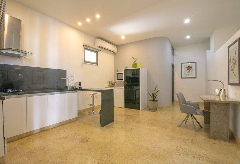 Отель El Cactus Luxury Apartments In Historic Center