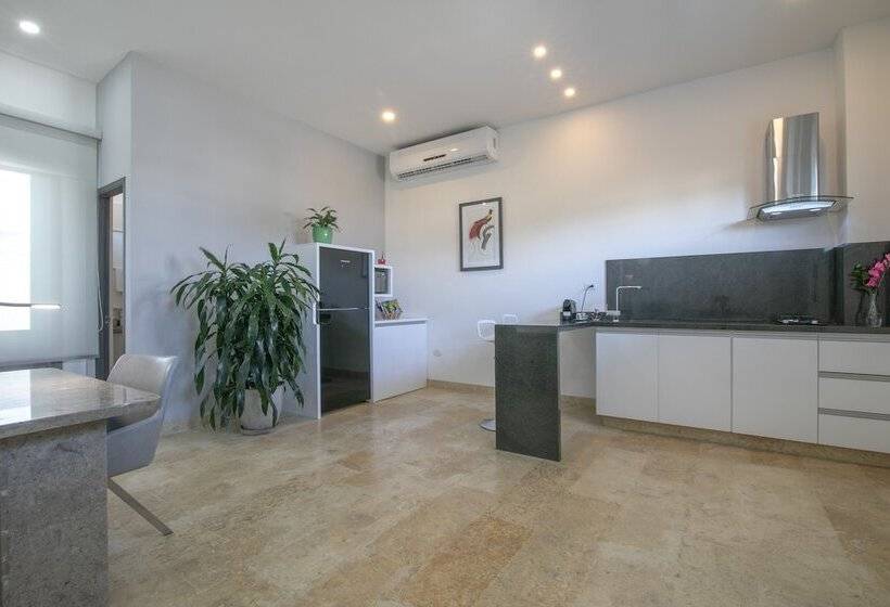 Отель El Cactus Luxury Apartments In Historic Center