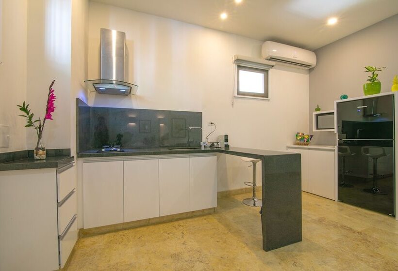 Отель El Cactus Luxury Apartments In Historic Center